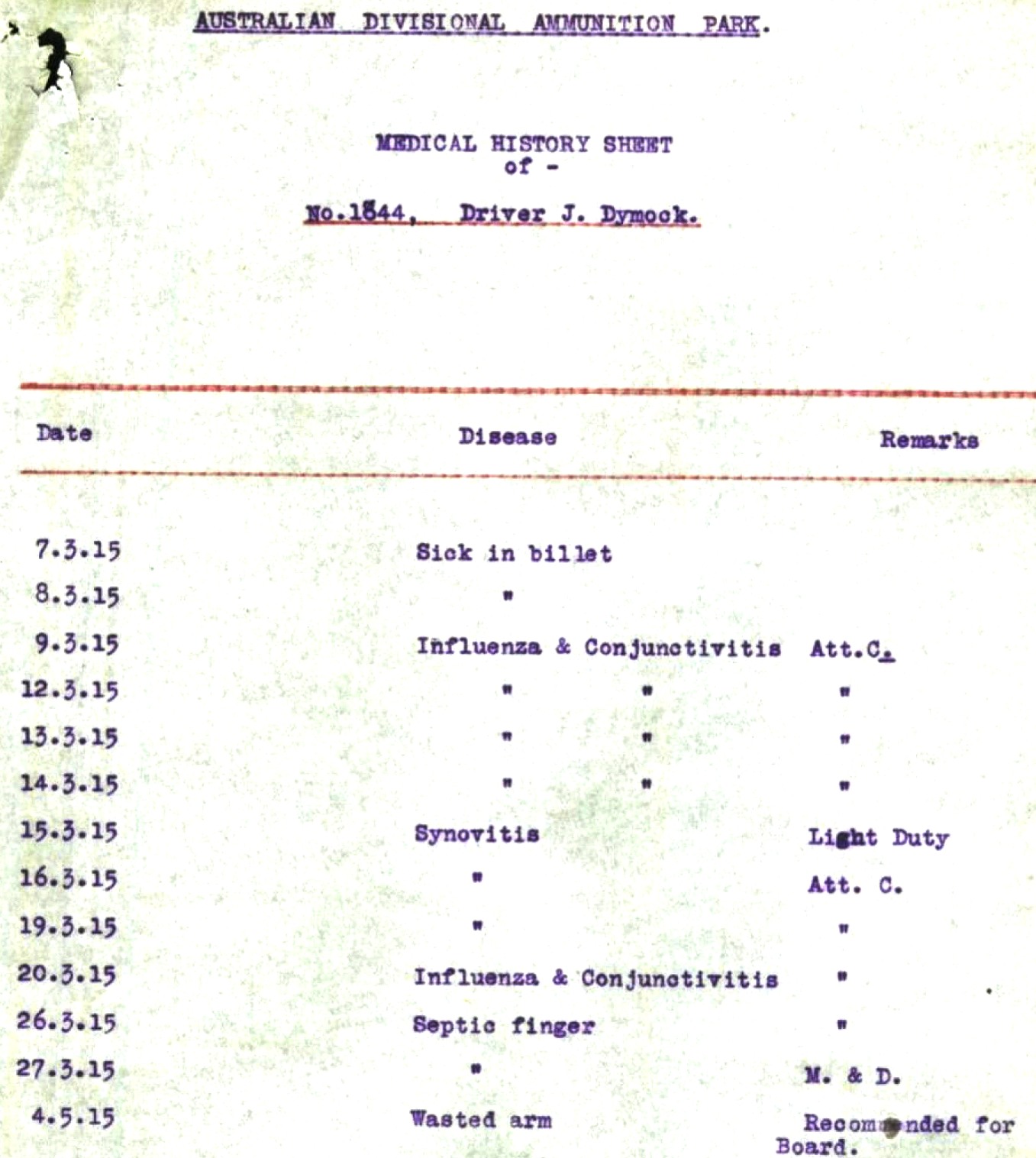 Medical History Report